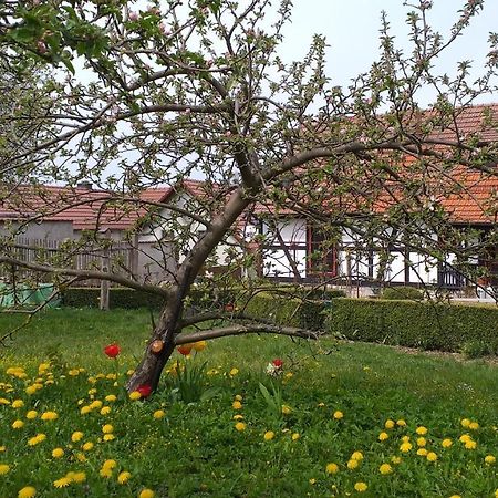 Pension Töpferhof Bad Berka Dış mekan fotoğraf